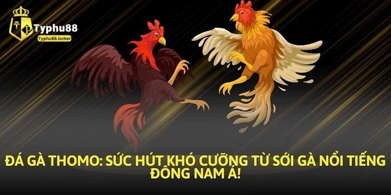 giai ma da ga thomo o dau