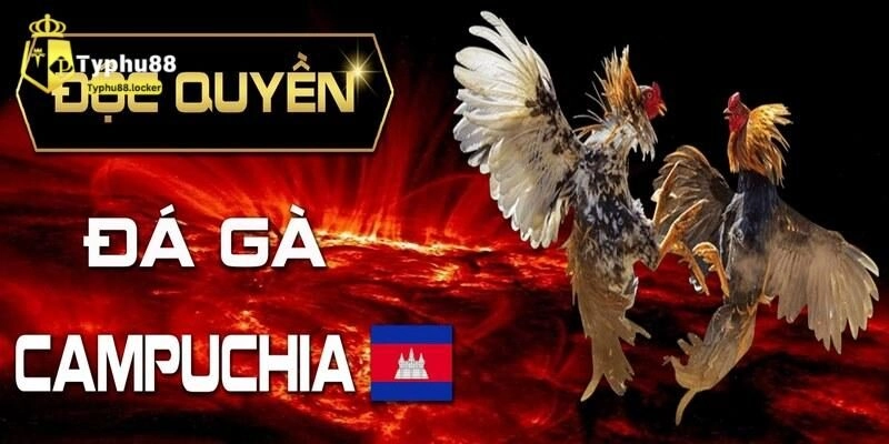 gioi thieu da ga campuchia