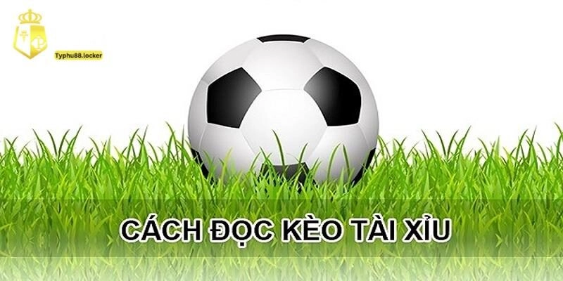Cách Tính Tài Xỉu Bóng Đá