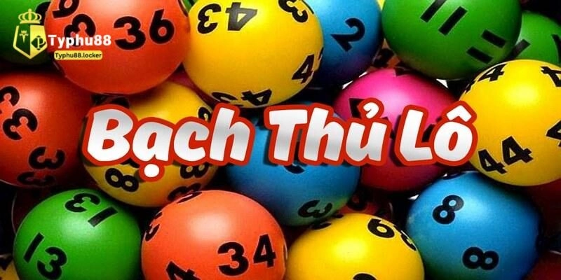 Bạch thủ lô là gì?