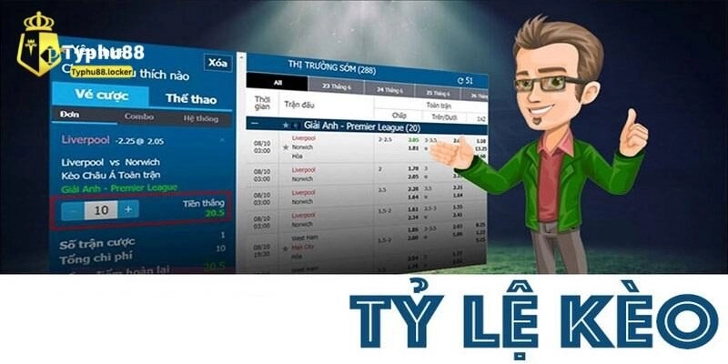 Nghiên cứu về thực lực các đội tuyển trước khi ra sân