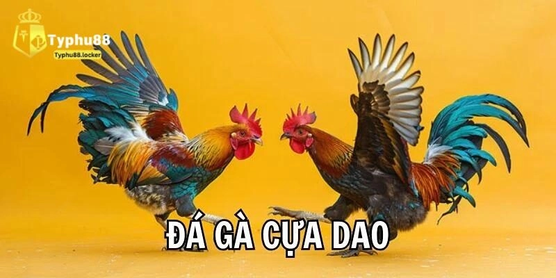 xem da ga cua dao